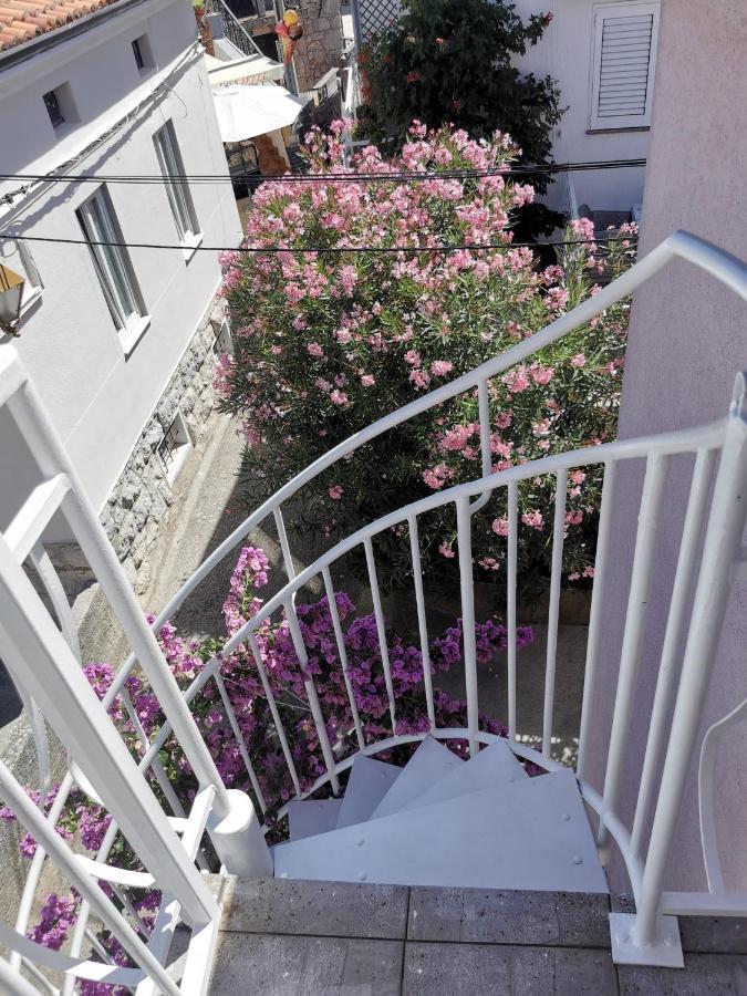 Apartment Ribar 2